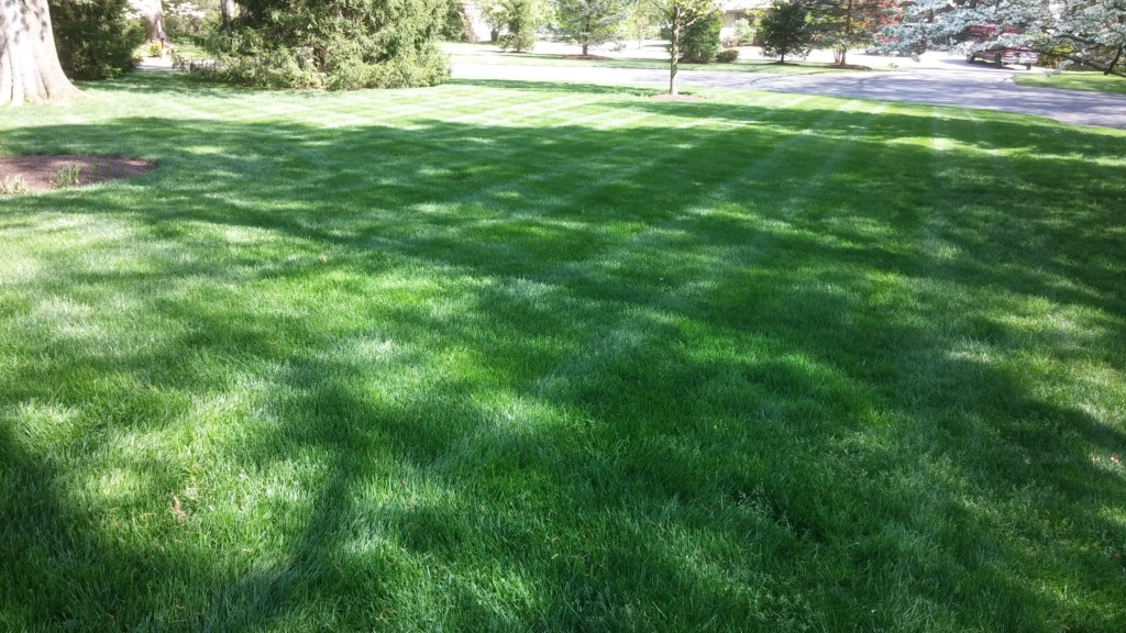 lawn care