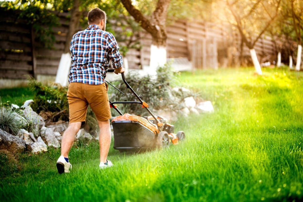 7 tips to improve your lawn this spring
