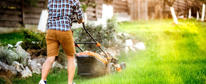 7 tips to improve your lawn this spring