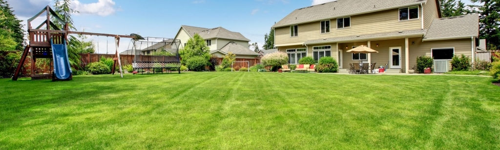 grass for estates
