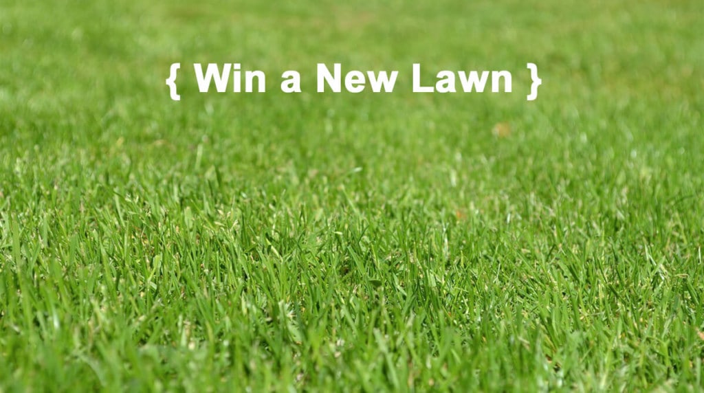Win A New Lawn