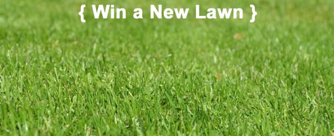 Win A New Lawn
