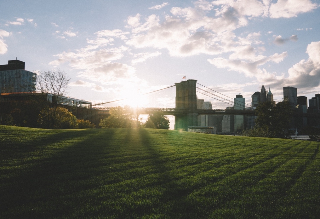 Lawns contribute to the overall health of the urban environment in a myriad of ways.