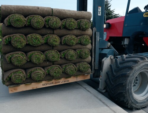 Why Sod Delivery is the Convenient Choice for Busy Homeowners