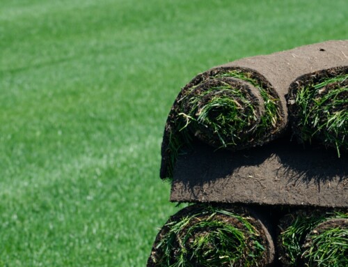 Behind the Surface: Understanding the Disadvantages of Artificial Turf