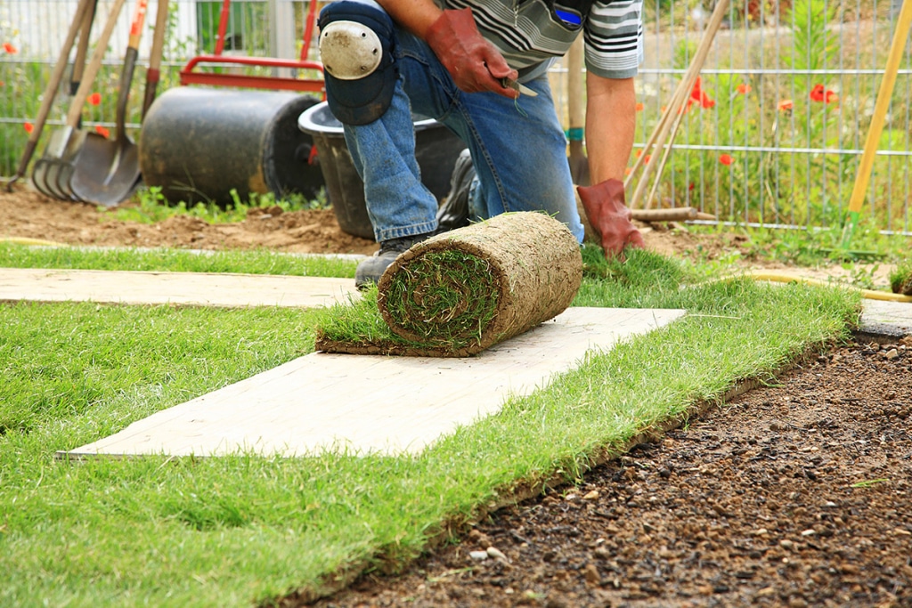 professional lawn installation