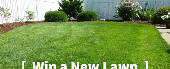new lawn package