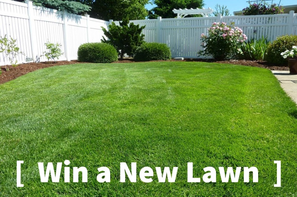 Win A New Lawn - Western Turf Farms