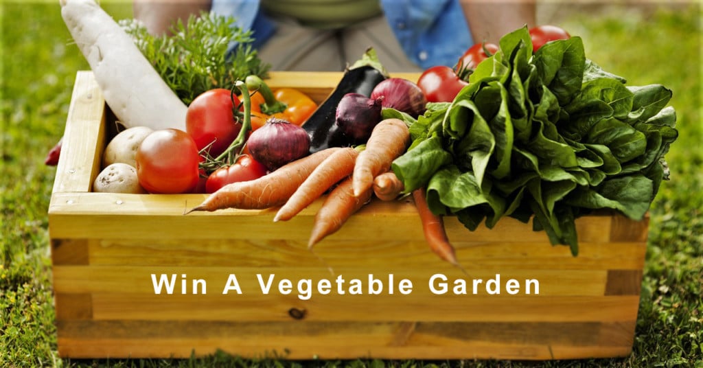 vegetable garden