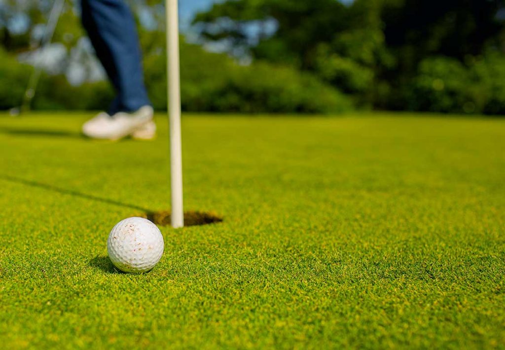 Bentgrass Sod