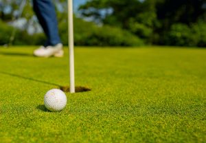 Bentgrass Sod