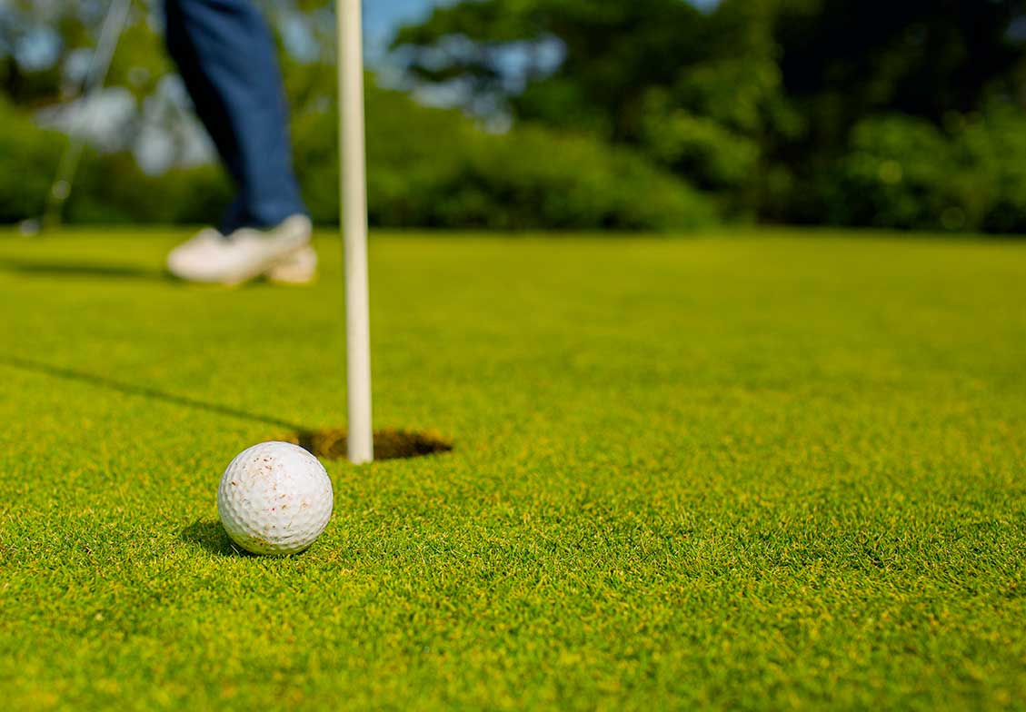 Bentgrass Sod