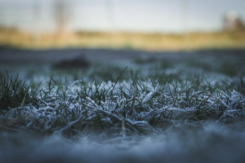 How to Winterize Your Cool Season Turf Grass
