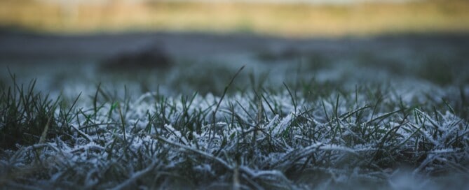 How to Winterize Your Cool Season Turf Grass