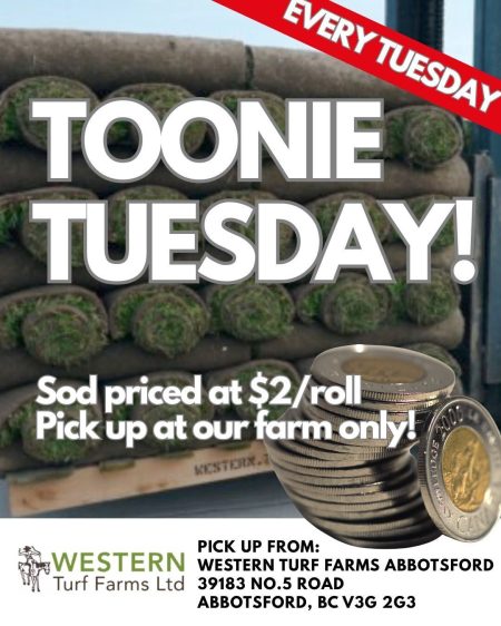Toonie Tuesday for Sod!