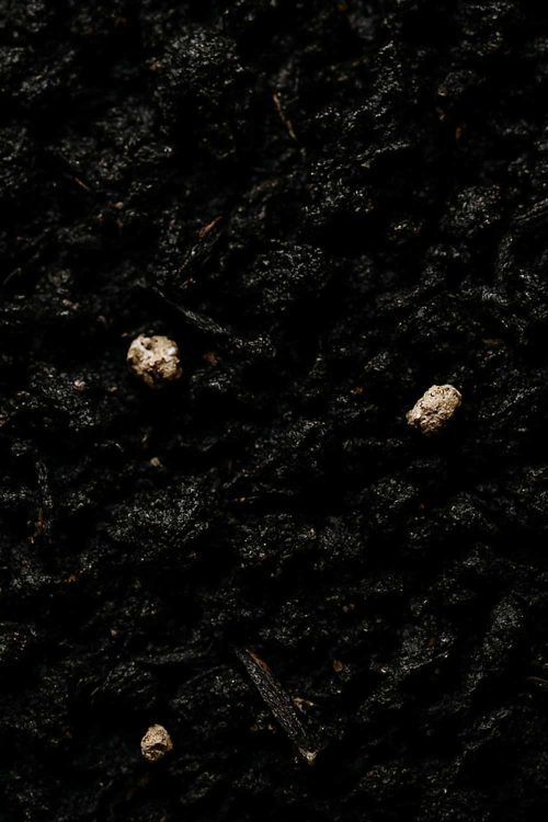 Planter Blend Soil