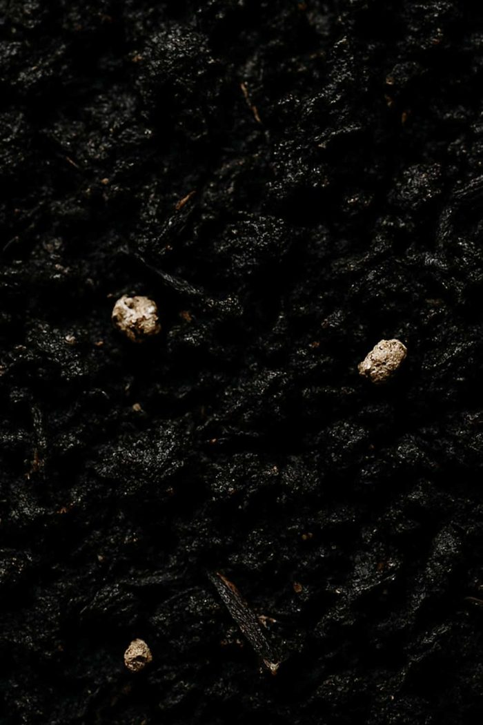 Planter Blend Soil