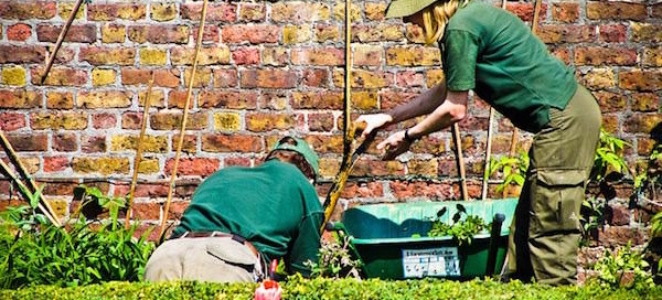 gardeners working - sod landscapers