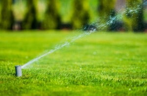 watering tips for lawn