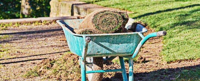how to remove old grass and lay new sod