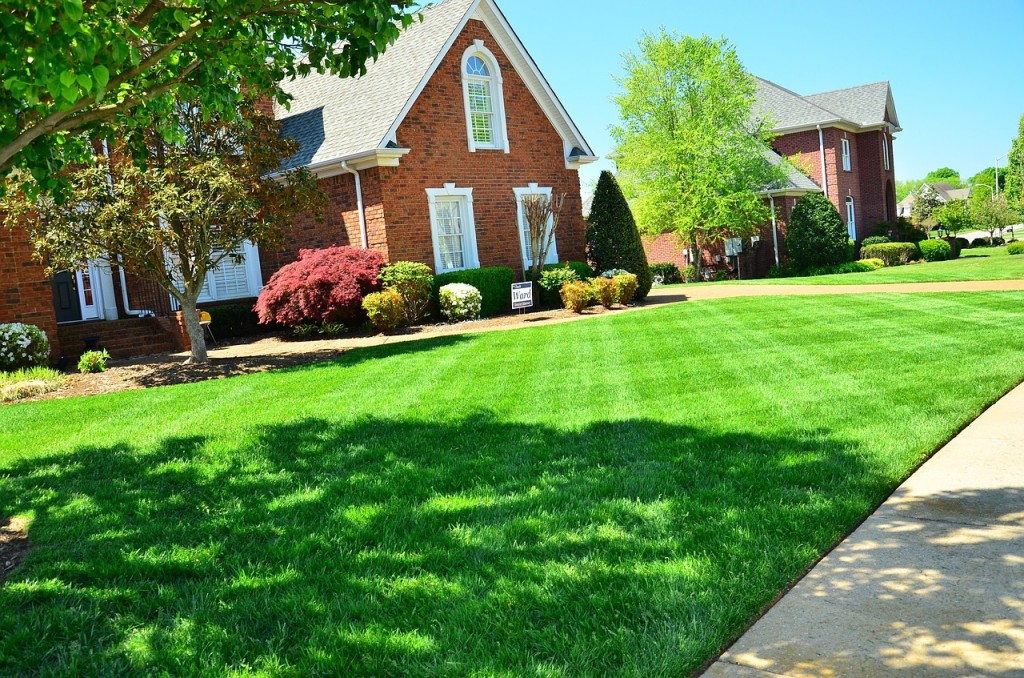 lawn repairs