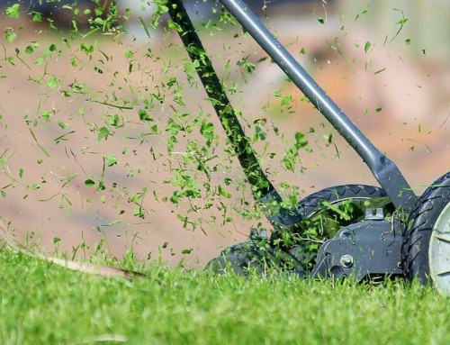 Mowing Your Lawn for its Beauty or for Your Health