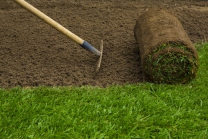 professional sod and law installation