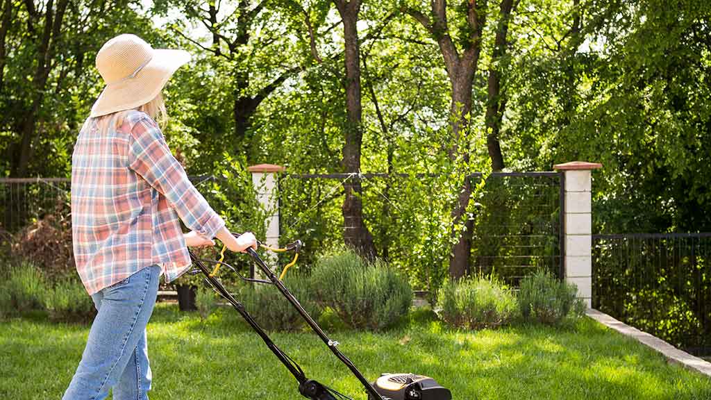 Lawn Care Tips BC
