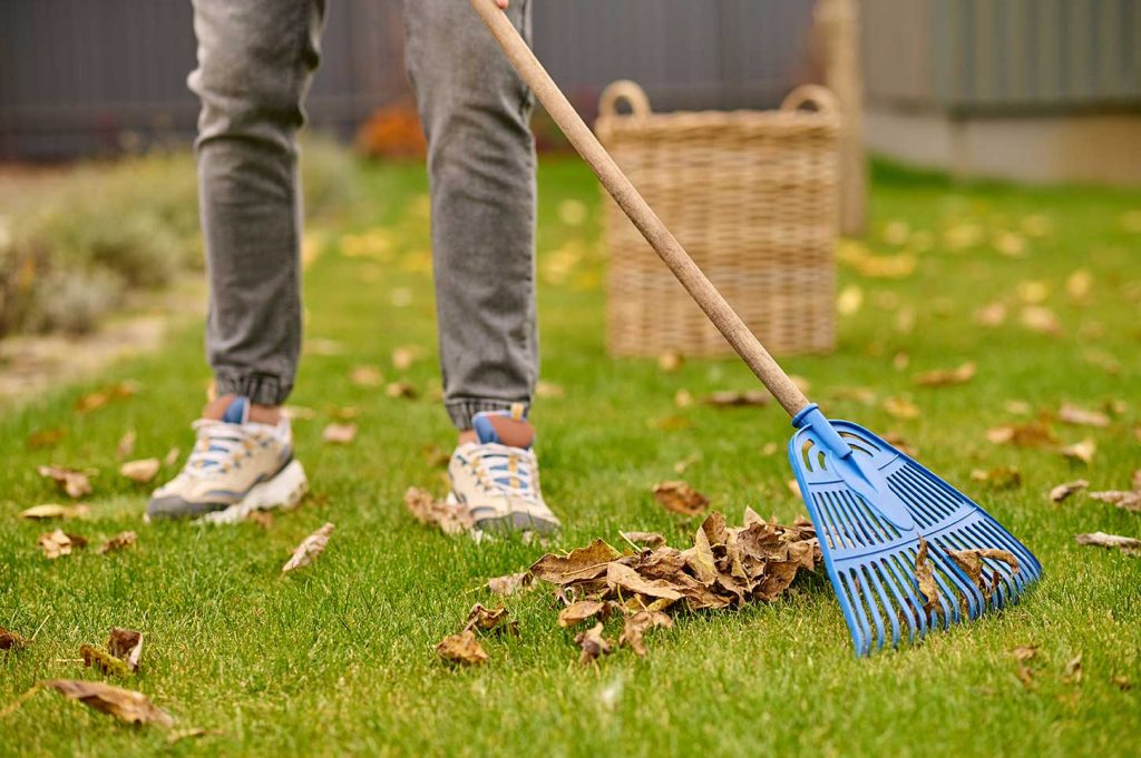Lawn Care Tips