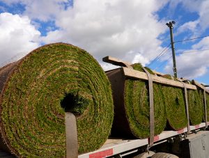 Select Sod