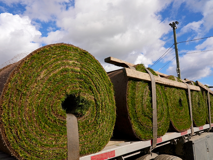 Select Sod