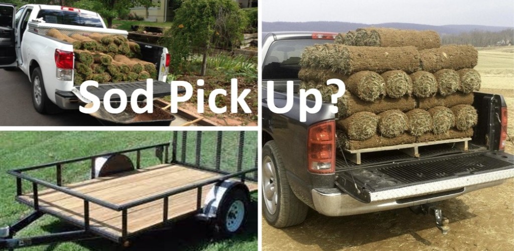 Sod Delivery or Sod Pick Up?