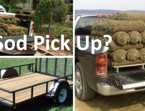 Sod Delivery or Sod Pick Up?