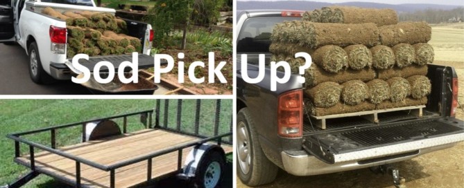Sod Delivery or Sod Pick Up?