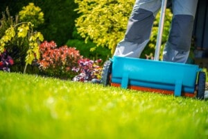 fertilizing lawn tips
