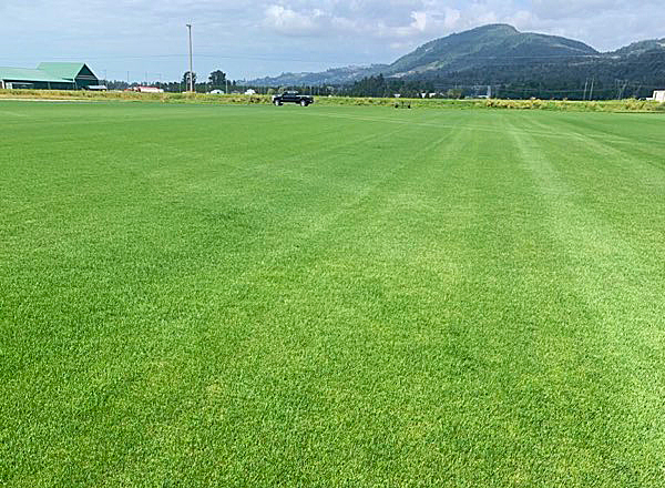 Supreme Sod