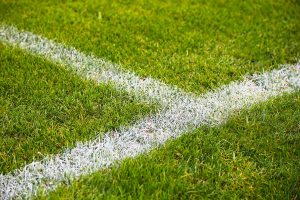 TWCA-Certified Drought-Tolerant Sod