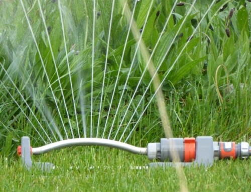 Watering Ban Lifted by BC Municipalities
