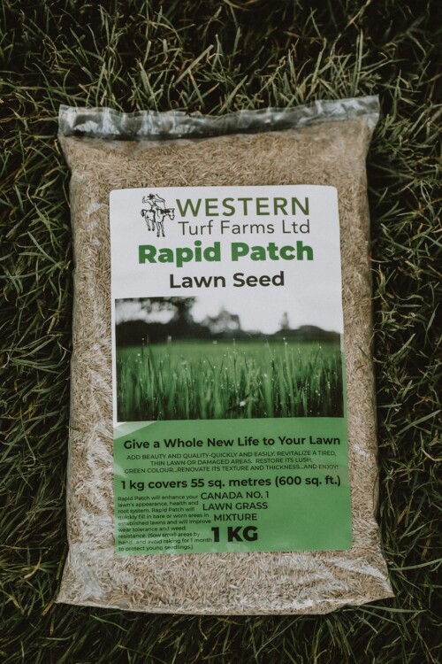 rapid patch - lawn sod seeds