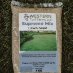 Supreme Lawn Seed